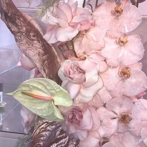 Meet your Posher, Jasmine